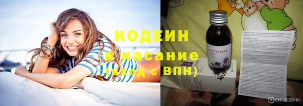 индика Лабытнанги