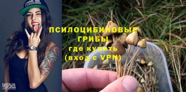 стафф Алексеевка