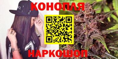гашик Кинель