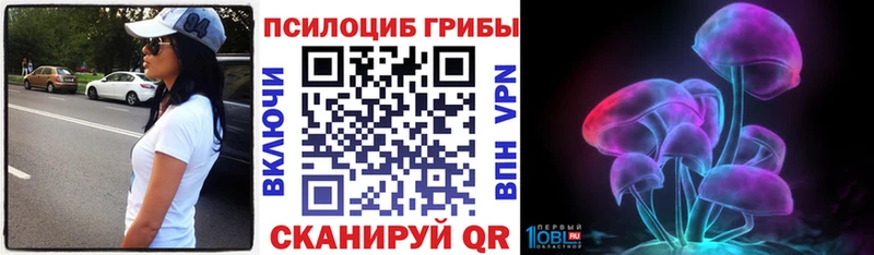 Галлюциногенные грибы прущие грибы  Кызыл 