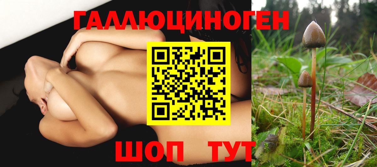 Галлюциногенные грибы Magic Shrooms  Вход с VPN  Галлюциногенные грибы ЛСД  купить наркоту  Кызыл 